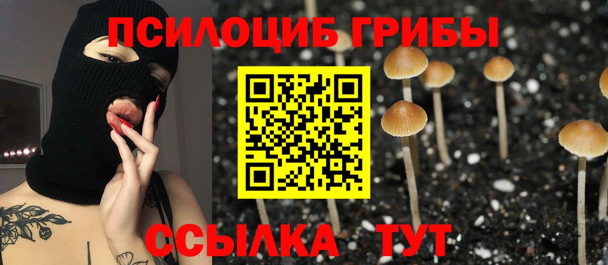 Галлюциногенные грибы MAGIC MUSHROOMS  Галлюциногенные грибы Cubensis  Вход с VPN  Шали 